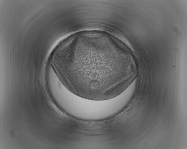 X0000114121116200910191717