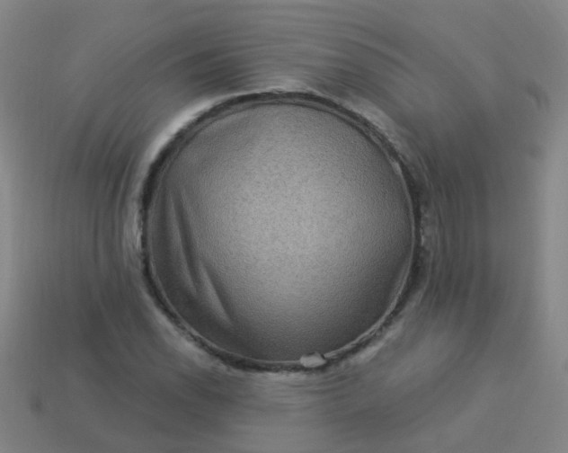 X0000114121118200910191717