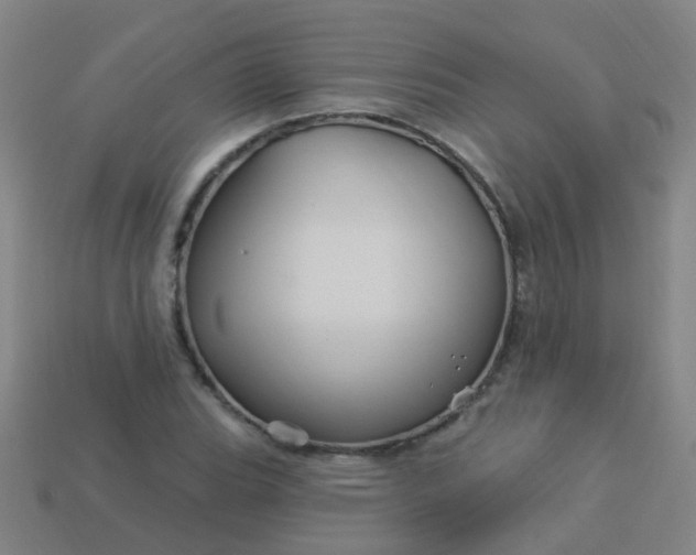 X0000114121119200910191717