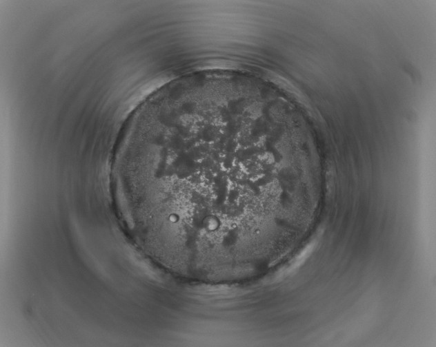 X0000114121121200910191717