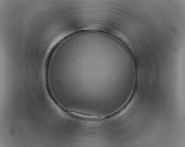 X0000114121122200910191717