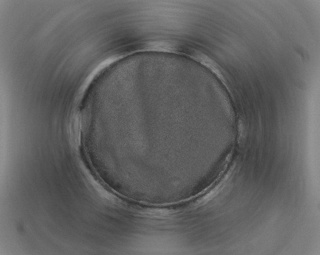 X0000114121123200910191717