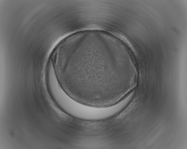 X0000114121124200910191717