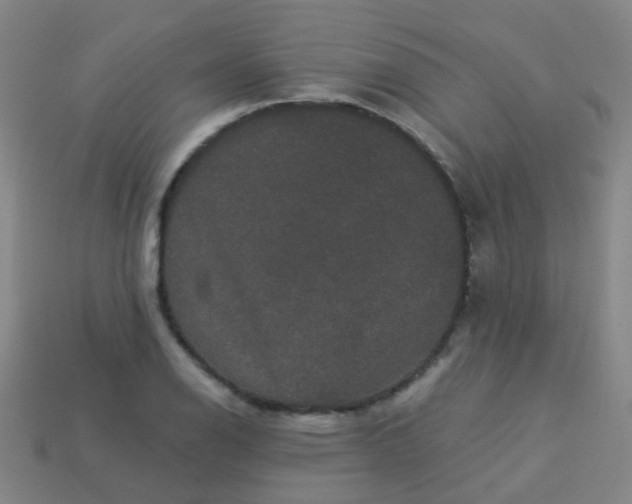 X0000114121126200910191717