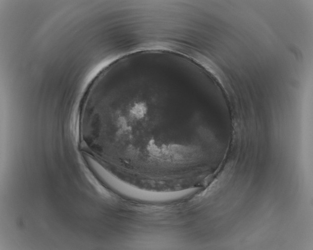 X0000114121127200910191717