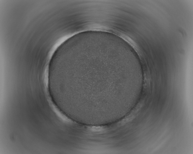 X0000114121128200910191717