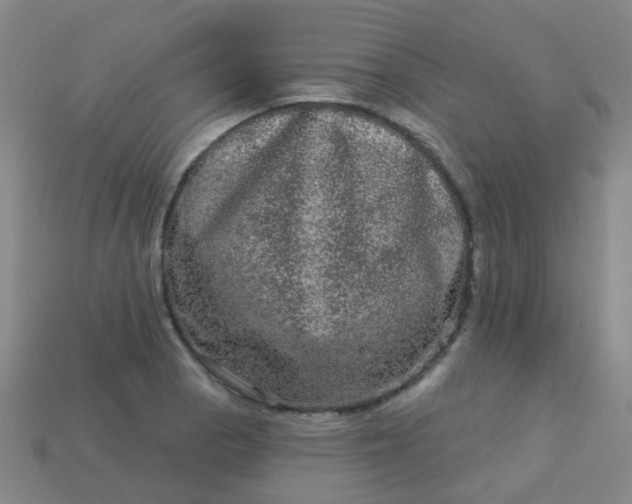 X0000114121129200910191717