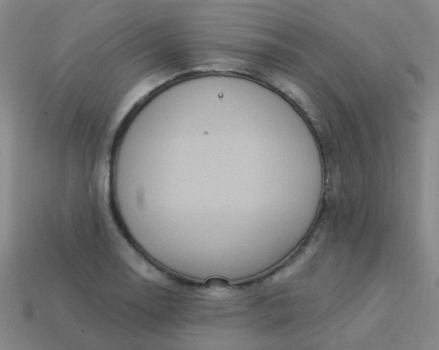 X0000114121130200910191717