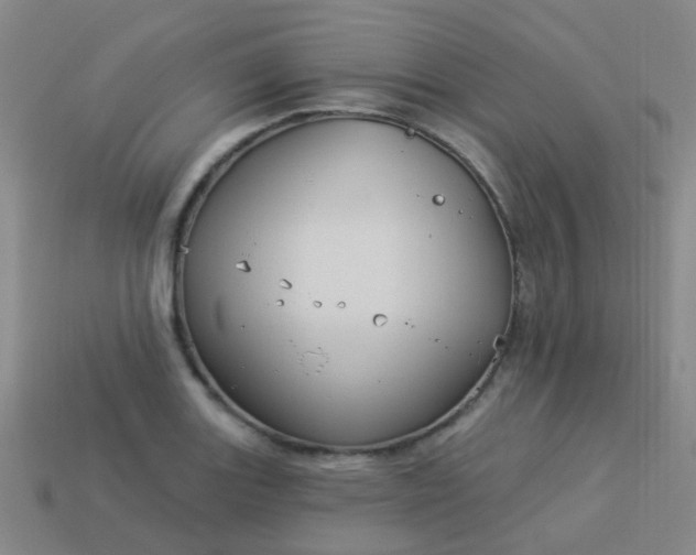 X0000114121131200910191717