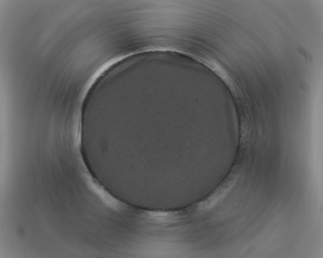 X0000114121132200910191717