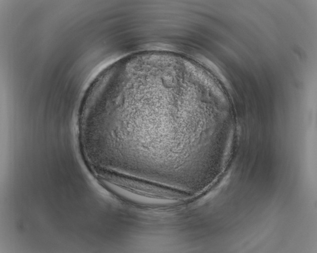 X0000114121133200910191717