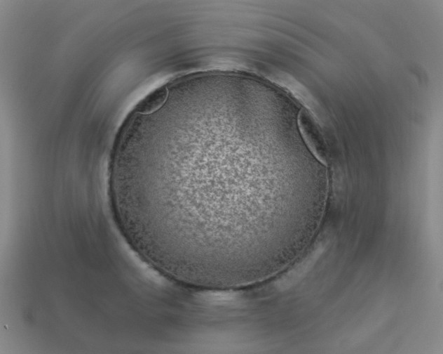 X0000114121134200910191717