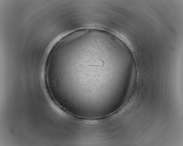 X0000114121136200910191717