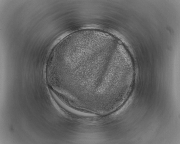 X0000114121137200910191718