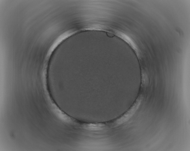 X0000114121138200910191718