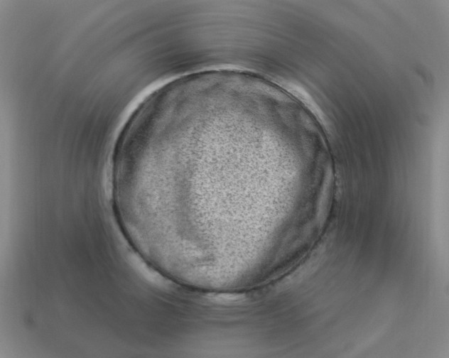 X0000114121140200910191718