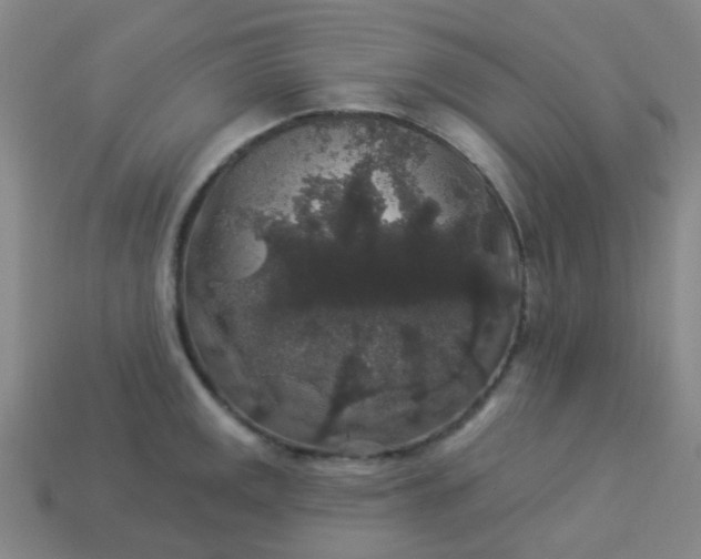 X0000114121141200910191718