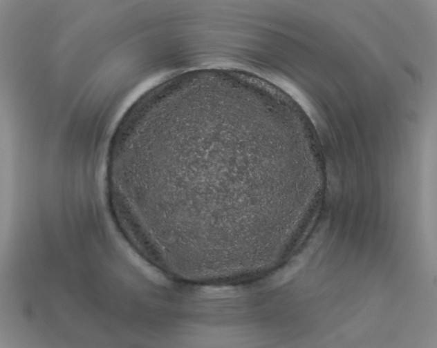 X0000114121142200910191718