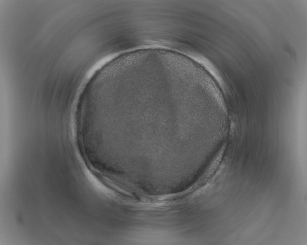 X0000114121143200910191718