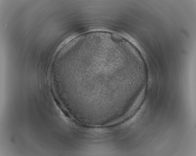 X0000114121145200910191718