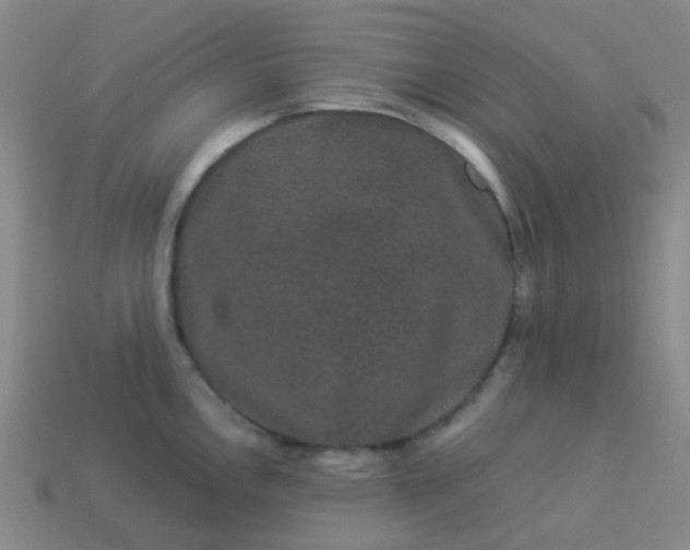 X0000114121146200910191718