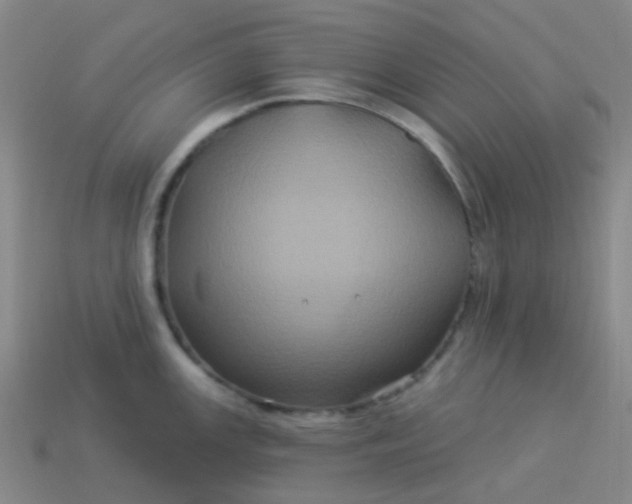 X0000114121147200910191718