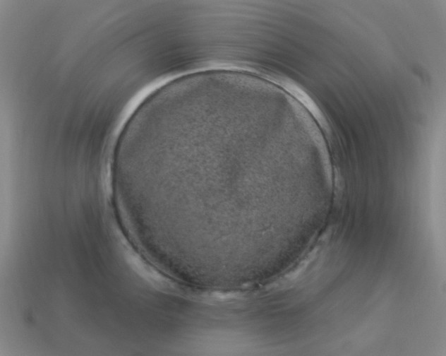 X0000114121148200910191718