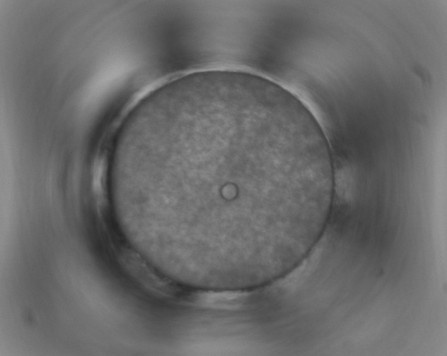 X0000114121150200910191718