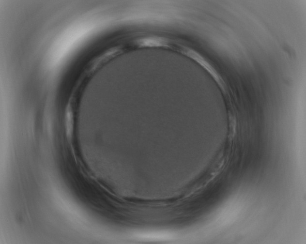 X0000114121151200910191718