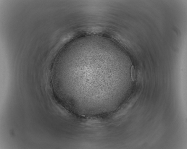 X0000114121153200910191717