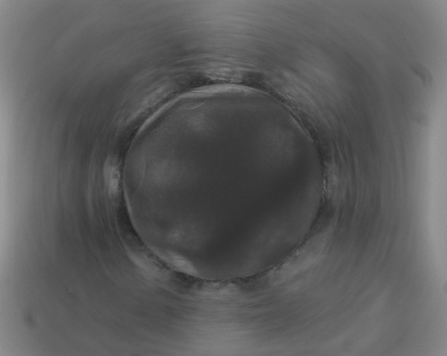 X0000114121154200910191717