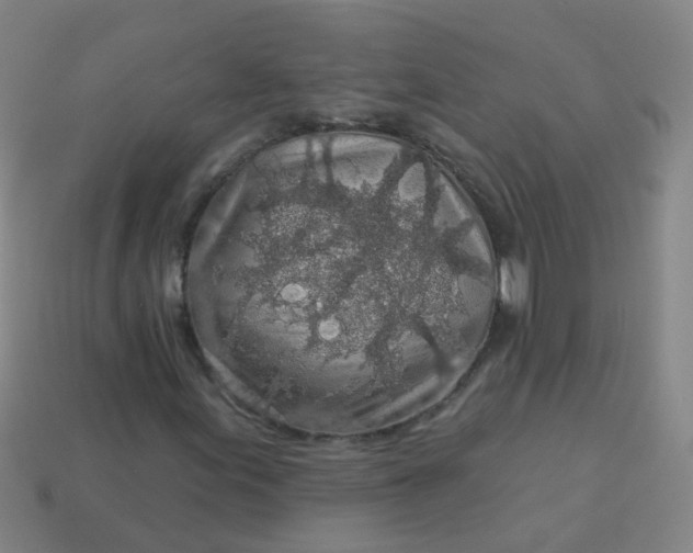 X0000114121155200910191717