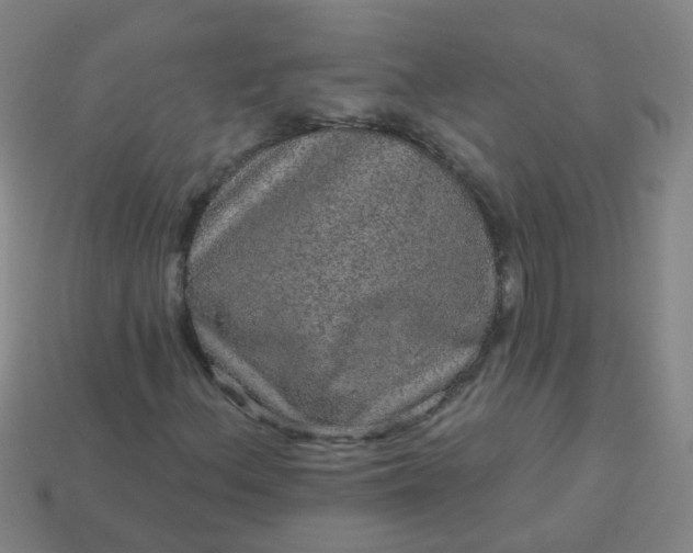 X0000114121156200910191717