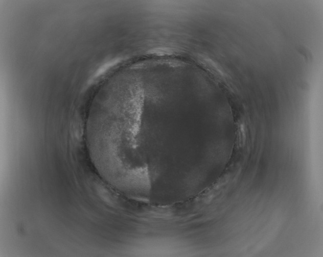 X0000114121158200910191717