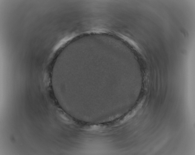 X0000114121160200910191717