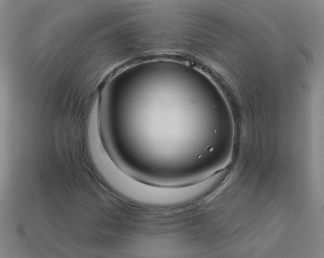 X0000114121161200910191717