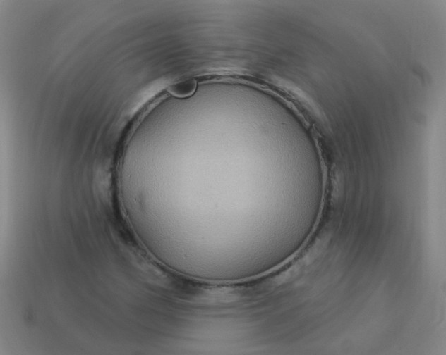 X0000114121162200910191717