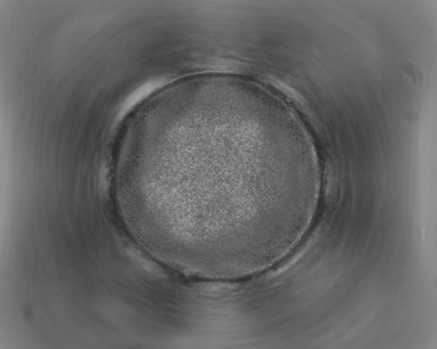 X0000114121163200910191717