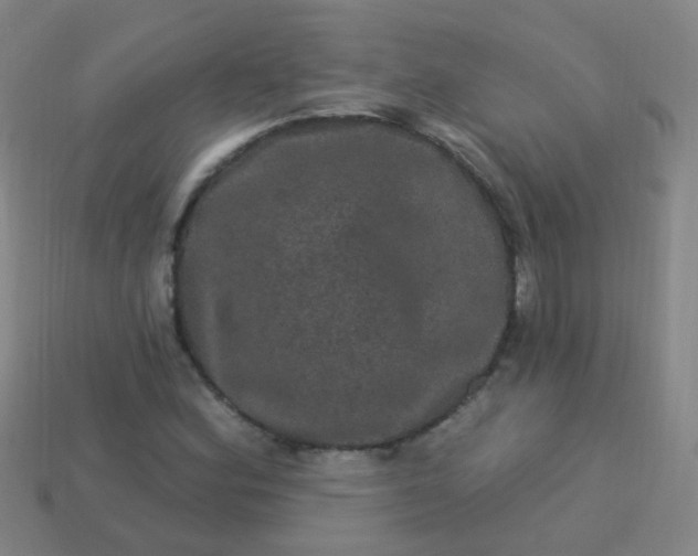 X0000114121164200910191717