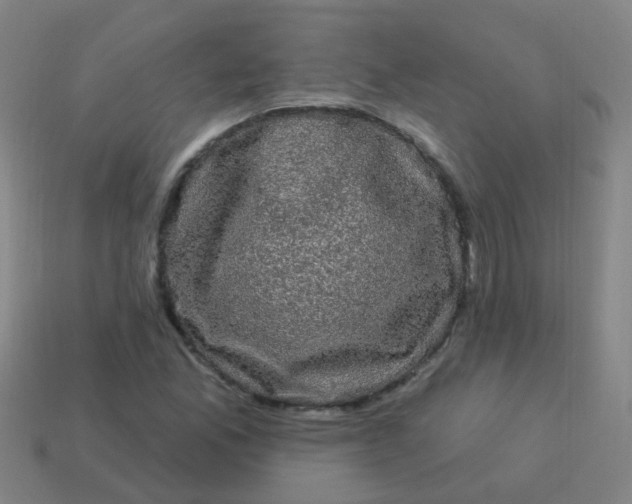 X0000114121165200910191717