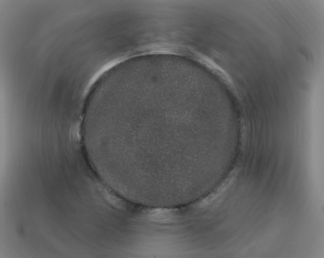 X0000114121166200910191717