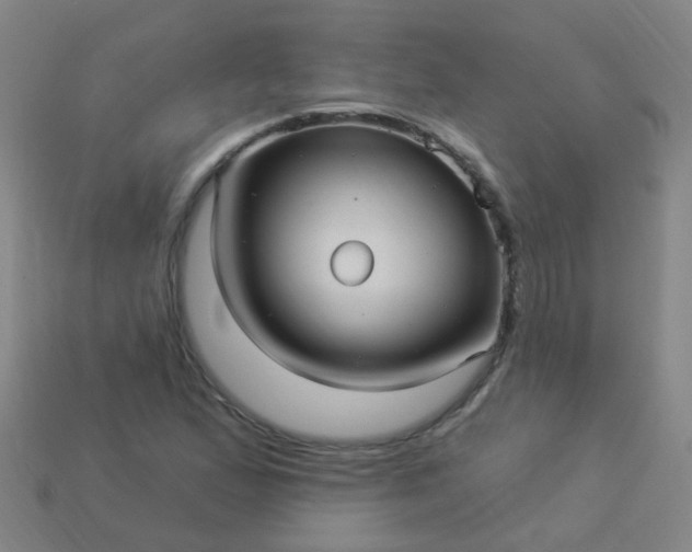 X0000114121167200910191717