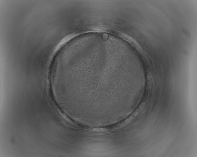 X0000114121168200910191717