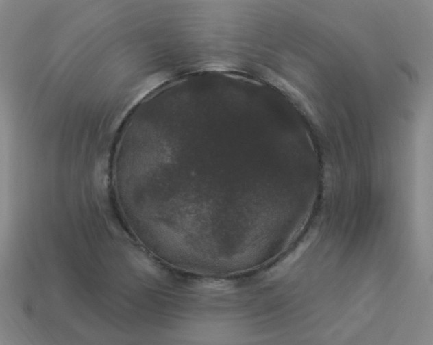 X0000114121170200910191717