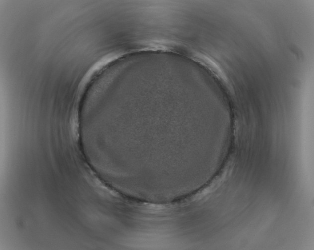 X0000114121172200910191717