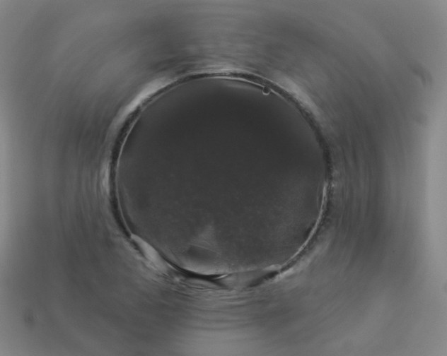 X0000114121173200910191717