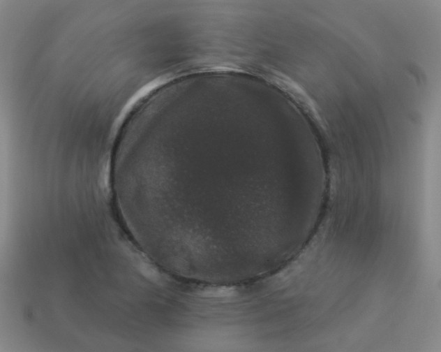 X0000114121174200910191717