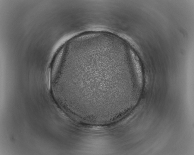 X0000114121175200910191717