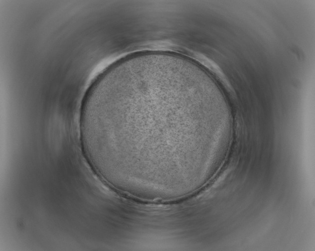 X0000114121176200910191717