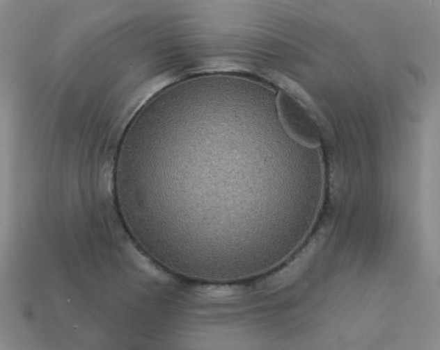 X0000114121177200910191717